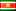 スリナム共和国 flag